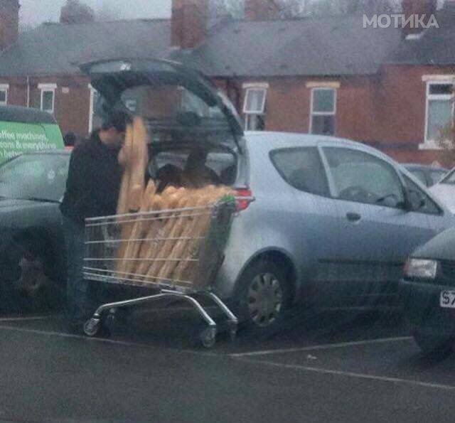 daily_picdump_238_640_52