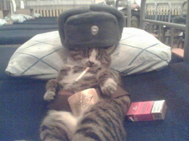 russians_are_a_different_breed_to_the_rest_of_us_640_06