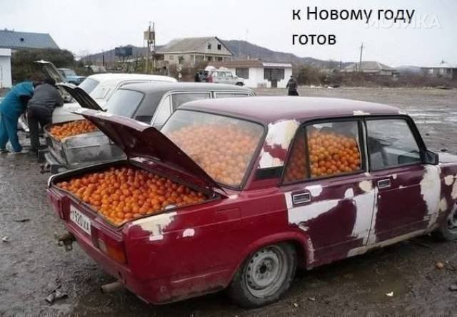 russians_are_a_different_breed_to_the_rest_of_us_640_22