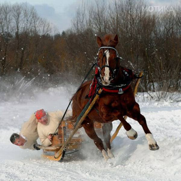 russians_are_a_different_breed_to_the_rest_of_us_640_29