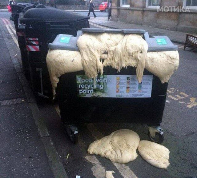 the_first_word_that_will_come_to_your_mind_after_seeing_these_pics_is_wtf_640_20