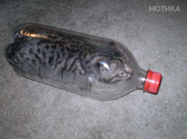 the_first_word_that_will_come_to_your_mind_after_seeing_these_pics_is_wtf_640_24