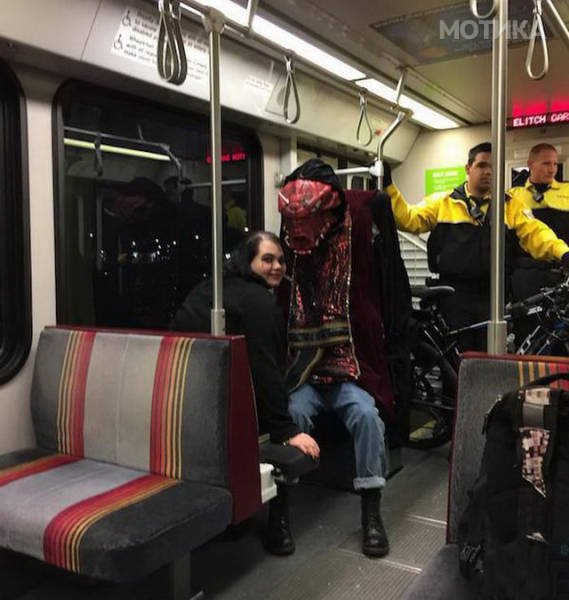 the_first_word_that_will_come_to_your_mind_after_seeing_these_pics_is_wtf_640_38