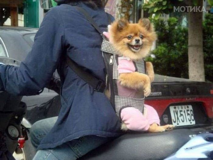crazy_chinese_things_15