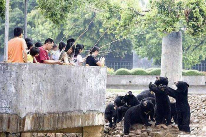 crazy_chinese_things_16