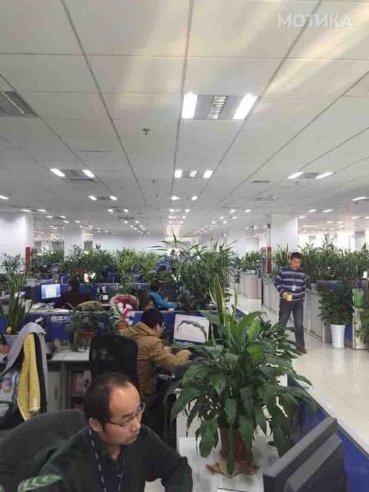 crazy_chinese_things_31