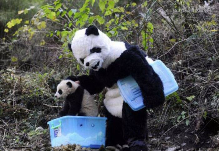 crazy_chinese_things_35